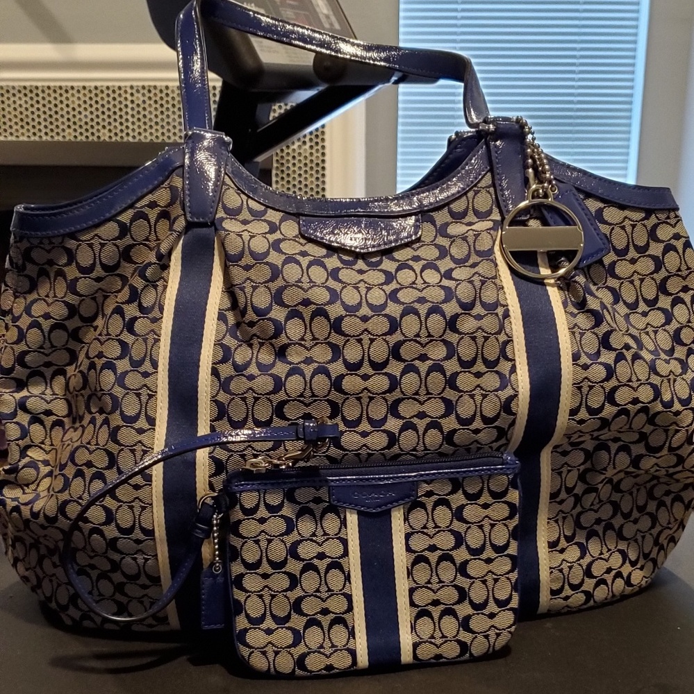 Blue purse